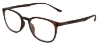 Turin - Tortoiseshell